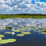 Danube Delta, Romania