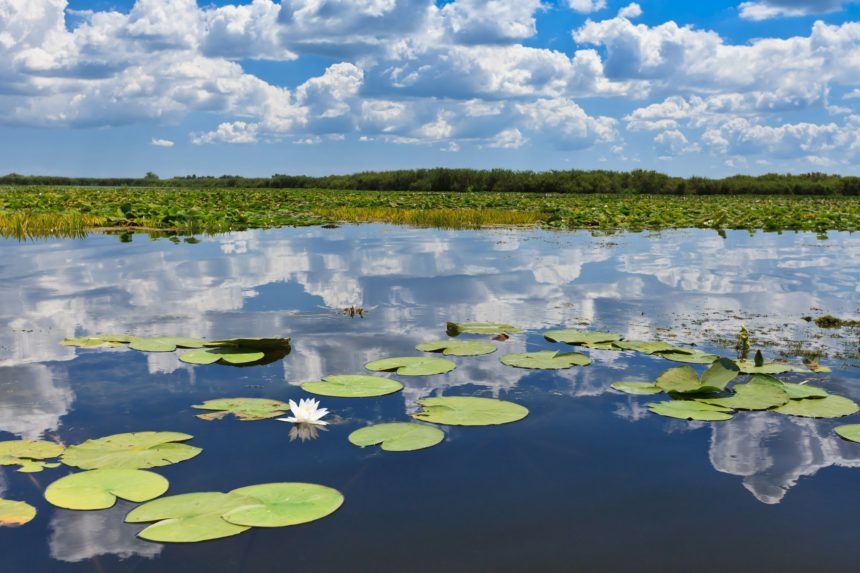 Danube Delta, Romania